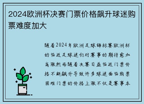 2024欧洲杯决赛门票价格飙升球迷购票难度加大