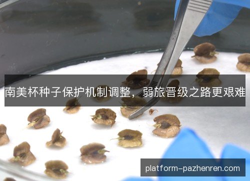 南美杯种子保护机制调整，弱旅晋级之路更艰难
